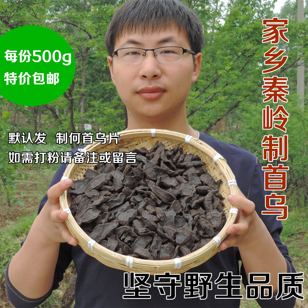 Polygonum Chinling Wild Premium Polygonum Tablets Herbal Polygonum Powder tea Polygonum 500g