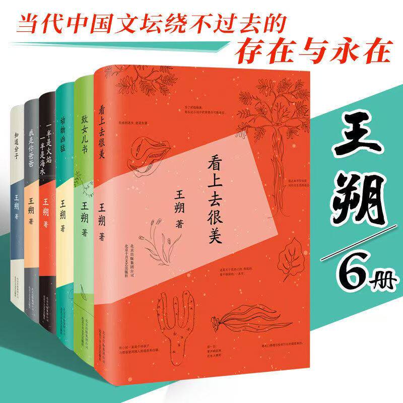 王碩全集（全6巻）：王碩著『美しき姿』『知識人』『我は汝の父である』『半炎半海』『獰猛な動物たち』『娘への手紙』。