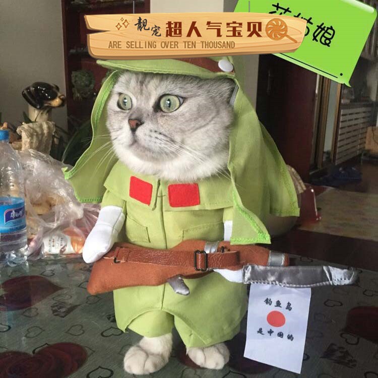 秋季八嘎装宠物搞笑搞怪狗狗猫咪衣服可爱巴哥比熊泰迪柴犬小型犬-阿里巴巴