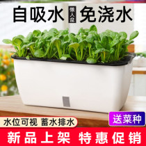 Home Balcony Species Flowers Breeding Flowers Sloth Flowers Flower Pots Self-Absorbent Flower Pots Green Lori Chandelia Cultivation Hydropony Rectangle