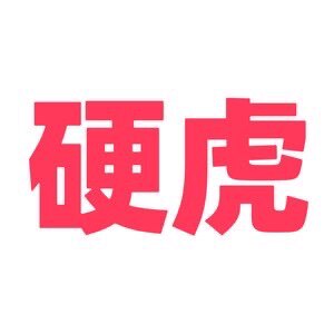 硬虎车内饰品
