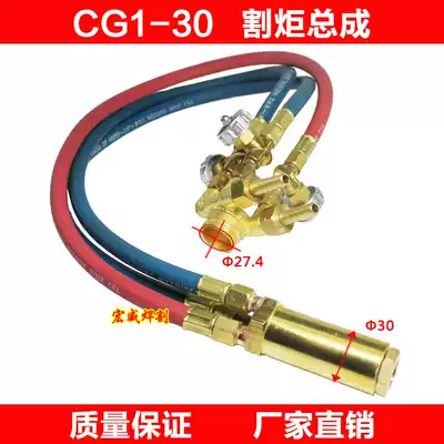 Warwick general CG1-30 flame cutting machine car accessories Torch assembly Torch head torch gun