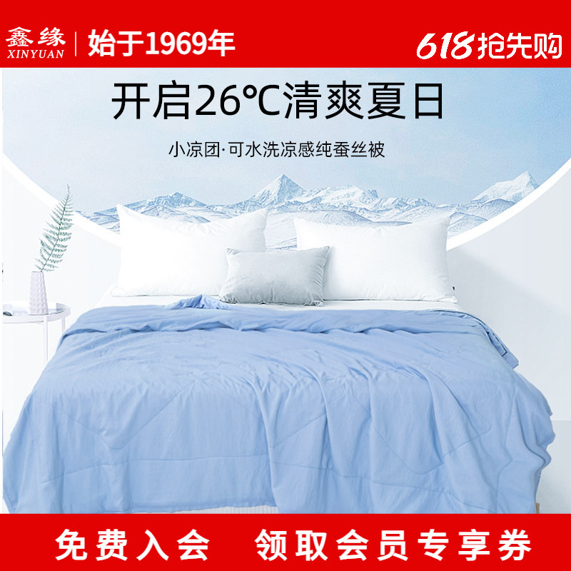 Xinyuan Silk Cooling Washable Silk Quilt Summer Cooling Quilt Core Summer Quilt Air Conditioning Quilt 100% Silk Small Cooling Pad