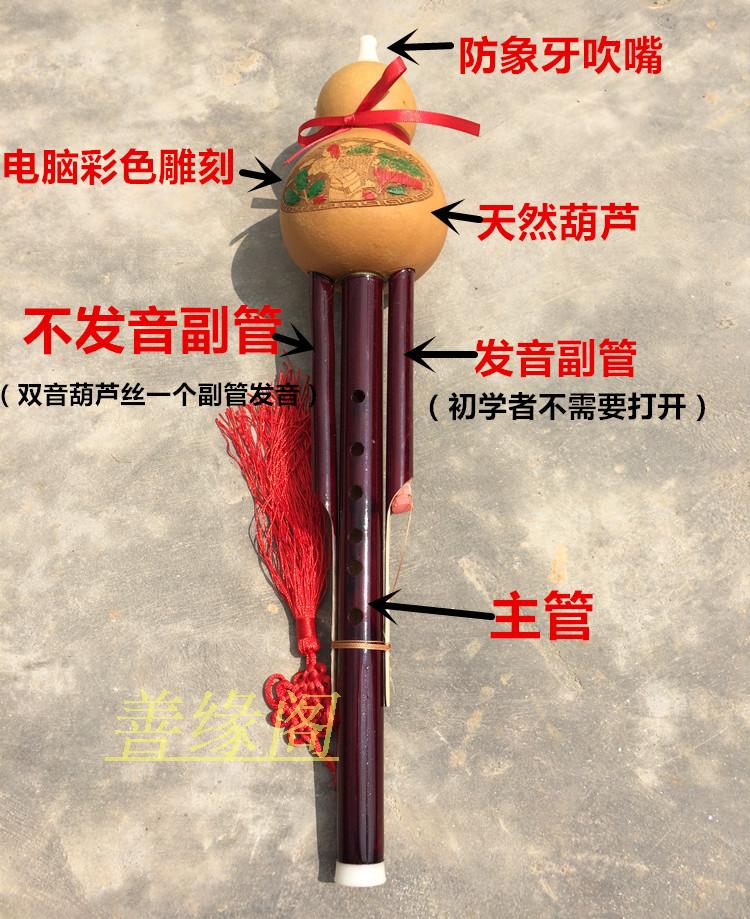 Vân Nam cucurbit nhạc cụ độc quyền phượng tre đôi giai điệu người mới bắt đầu miễn phí bưu chính thả B giai điệu c giai điệu - Nhạc cụ dân tộc các loại đàn cổ cầm