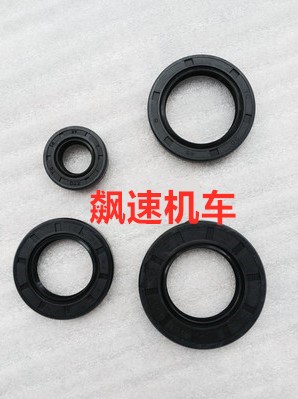 Locomotive accessories Magerster T3 T8 Antonis 250300 engine complete oil seal