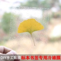 Specimen Plastic Film Leaves Membrane Cold Framed Film 6 Inch A4A6 Handmade Photo Paper Photo Plant Bookmark Cling Film