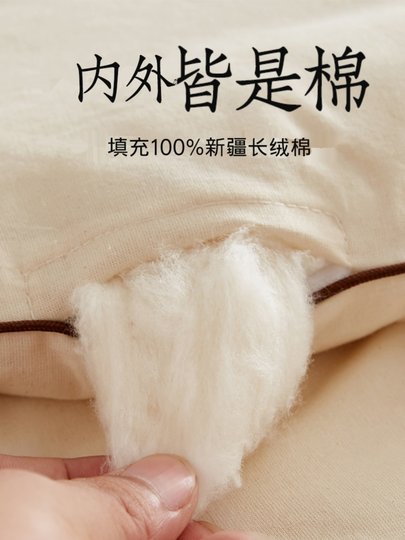 A类全棉本色新疆棉花床垫软垫家用垫被棉絮床褥垫床铺底垫被褥子