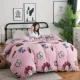 Chăn hai mặt san hô đơn mảnh dày đôi flannel quilt bao gồm mùa thu và mùa đông chăn sinh viên nhung ấm giải phóng mặt bằng