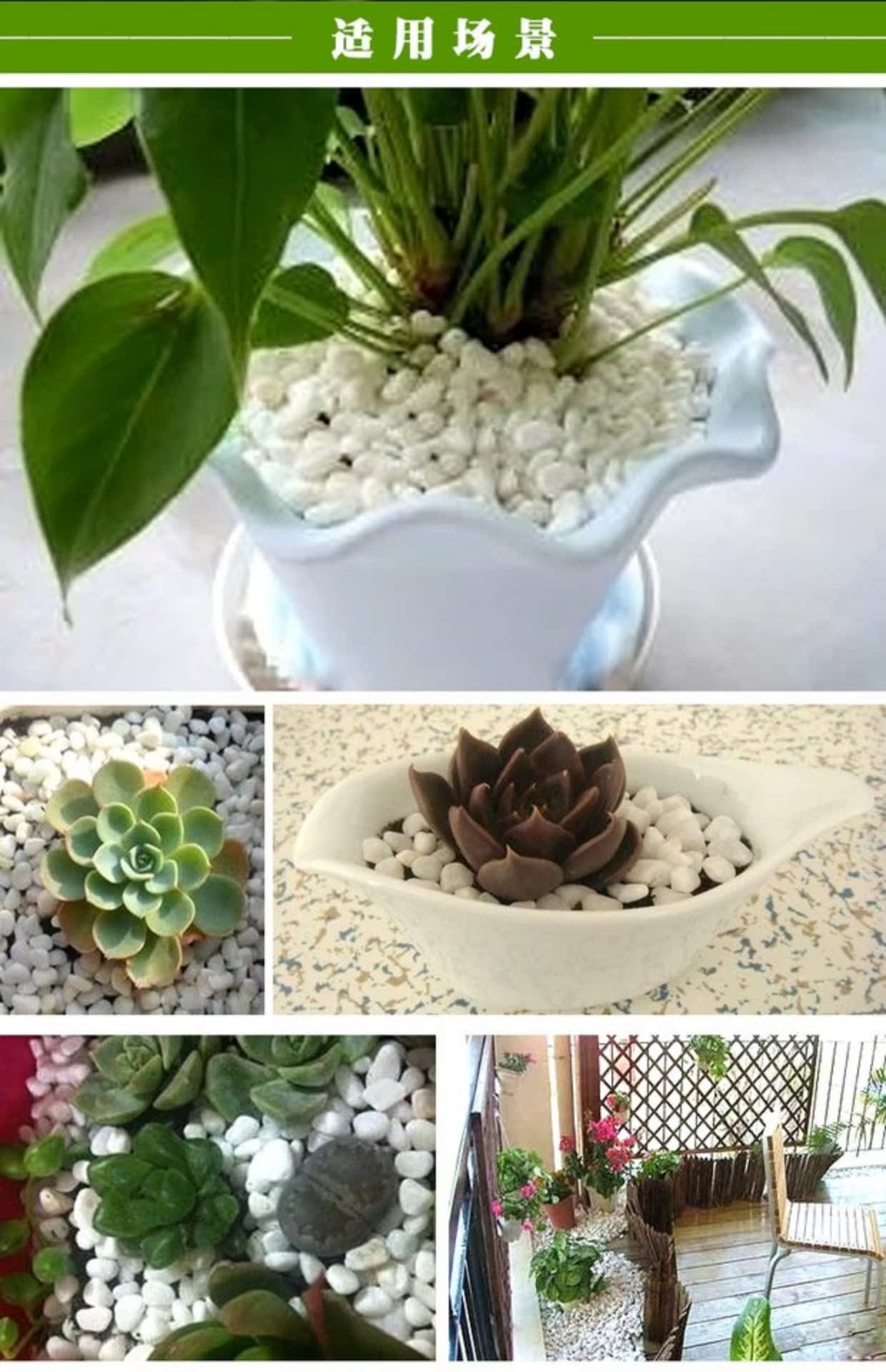 Vật tư làm vườn, bể cá đá trắng, trang trí chậu, đá màu, đá mưa, cây thủy canh, đá lát - Nguồn cung cấp vườn dây nước tưới cây