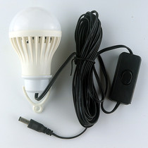 (5 meters long) 12v 12W energy-saving bulb