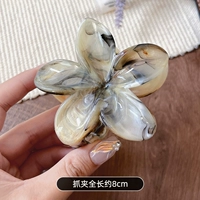 Серый кофейный размаг-фрагипани захвачен 8 см.