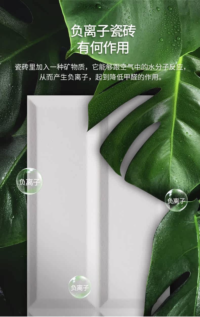 Макарон плесени 1_03.jpg