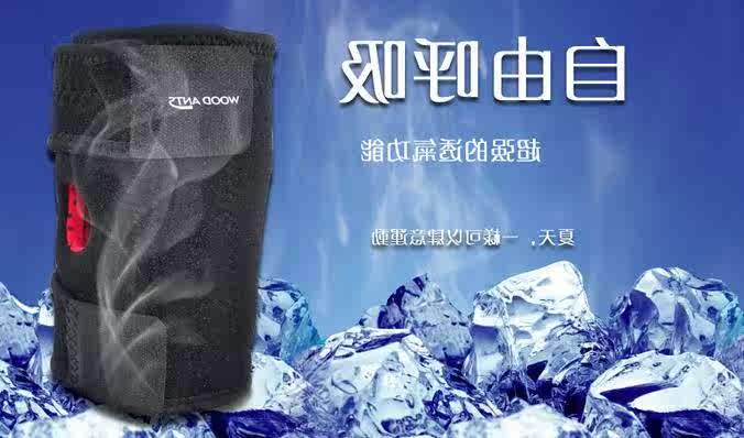 PQ-WOOD ANTS major Mountaineering knee 4 spring Double Grip Cold proof keep warm motion Knee padsin the Outdoor/Mountaineer/Camping/Travel Goods , Protect/Life-saving equipment , Sports Safety  category - from Buy2taobao.com to provide professional Taobao agent buy service
