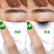 Small red book recommendation 12 days not satisfied with bag retreat) Every day a coat of eyelashes naturally thick and good-bye without eye contact