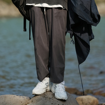 Day Series Autumn Winter Plus Suede Thickened Straight Cylinder Casual Long Pants Women Han Edition 100 Hitch Foundation Thin Sports Engineering Pants Students