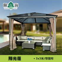 Outdoor rainproof sunscreen sun room aluminum alloy car awning terrace garden pergola rose rose rose climbing frame