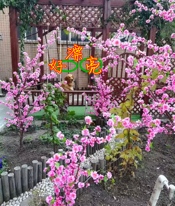 Mô phỏng cành hoa anh đào cành nhánh cành giả trang trí nội thất đám cưới vĩnh cửu nụ hoa dài đơn hoa lớn - Hoa nhân tạo / Cây / Trái cây bình hoa giả đẹp để phòng khách