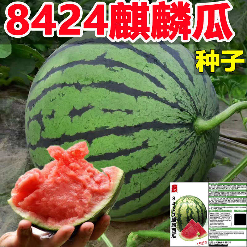 夏季出产什么水果最多？这个夏天你吃对了吗？