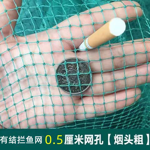 0.5cm Fine Mesh Fishing Net, Small-Eye Fishing Net, Fishing Net, Figure-Eight Net, Tiger Mouth Net, Pull Net, Fishing Net, High Quality