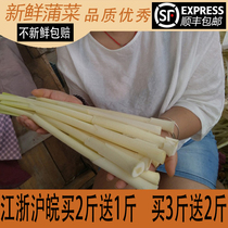 3 catties of the day exfoliating the freshly-made Huai Ang bushel wild pepper and white Pagoda making the vegetables Huaiyang and Zhejiangs Zhejiang and Zhejiang