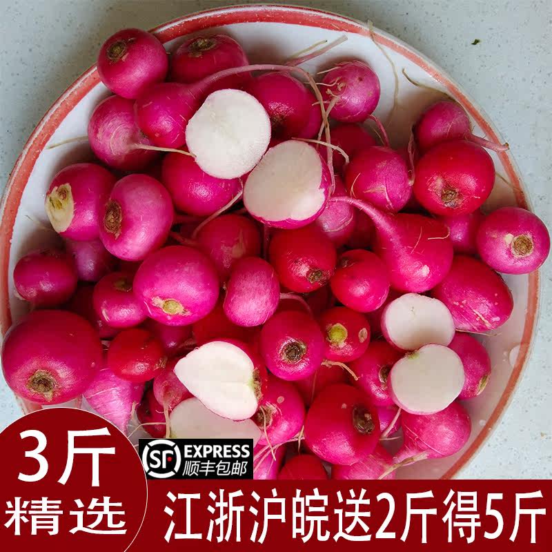 3 pounds of Subei fresh cherry red leather mini red red red circle and sweet eating tattoo