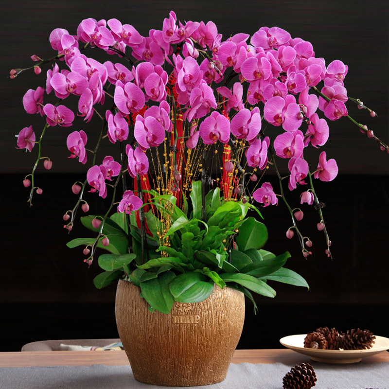 �����к���������