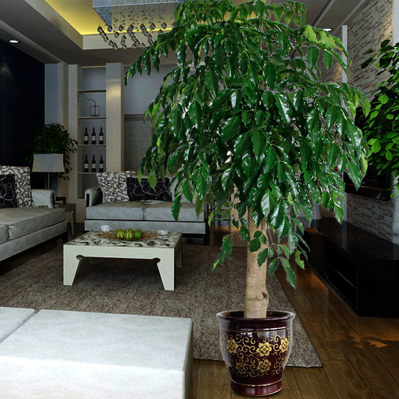 �������Ҹ������Դ��Ҹ�������