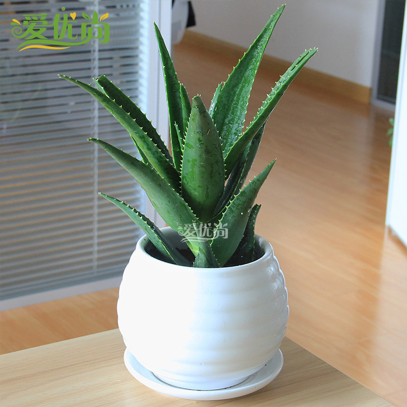 �������ļ��辰s127