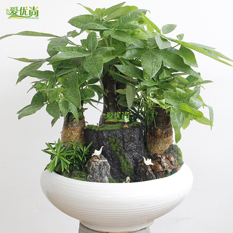 �����з������辰�辰��