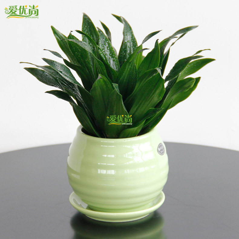 ������ˮ��̫����С����