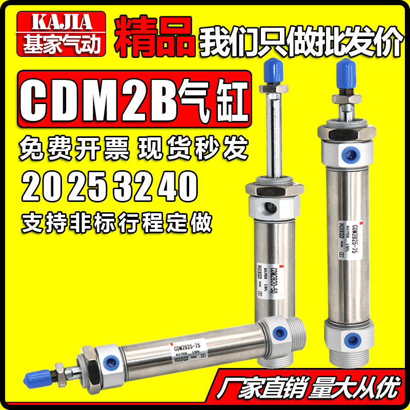 Stainless steel Mini cylinder MF CM2B CDM2B20 25 32 40X100-175-300-400-500Z