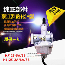 Applicable to Haojiang 150 Liebeast Tianhu Leopard HJ125-2A 5A 5B 8A 8B country three original carburetor