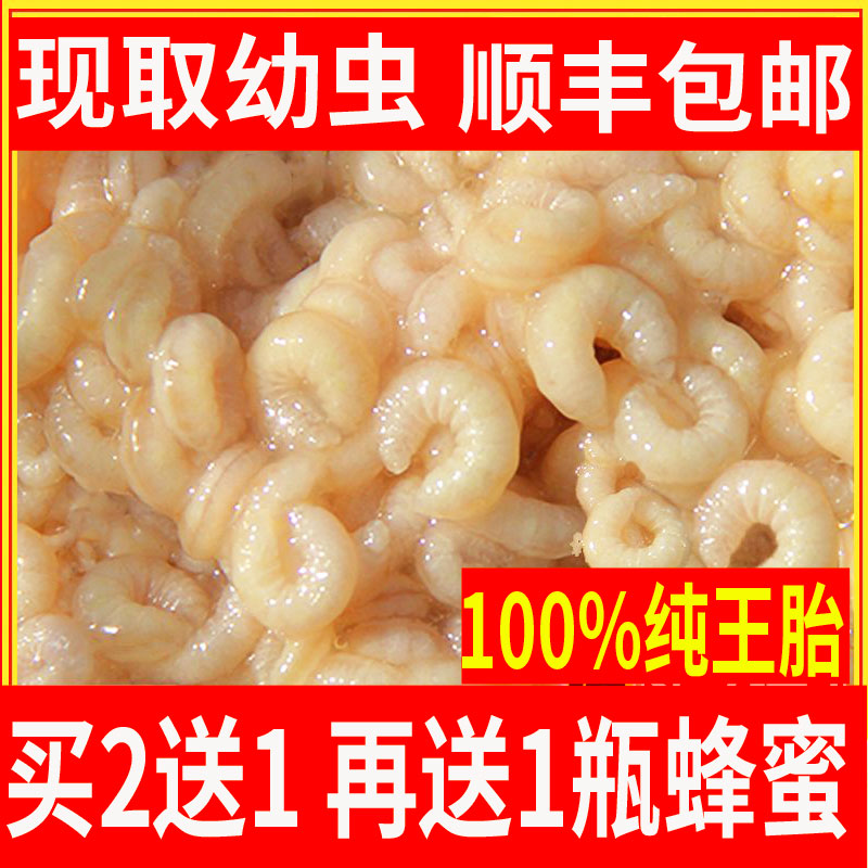 500g natural wild queen bee larva pure bee queen freeze-dried powder bee pupae old Dianhuang flagship store