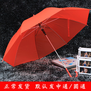 Individual oolong tea Da Hong Pao, automatic festive umbrella, decorations, props for bride