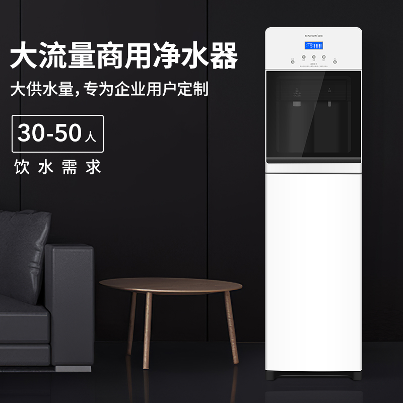 Commercial water purifier heating integrated vertical large-flow filtration tap water ro ultrafiltration direct drinking pipeline water dispenser