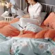 Coral nhung bốn mảnh mùa thu và mùa đông dày flannel cotton quilt tấm bìa loại flannel giường