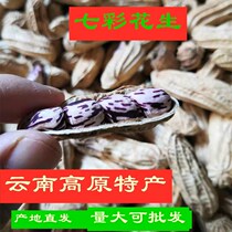 2020 new goods selected premium Yunnan colorful peanuts full and sweet colorful peanuts can be planted