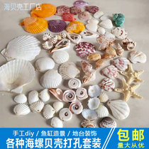 Punching Sea Snail Shells Handmade Diy Material Bag Nursery School Homework Making Windbell Ornament Fish Tank Decoration Natural