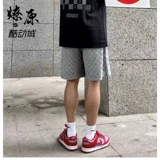 Loguyuan Equipment Nike Low Dunk Panda University Blue Grey Michigan Low Sports Shoes Men