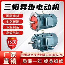 Three-phase motor Y132S-4 5 5KW 3 4 Y132M-4 7 5 KW total copper national standard electric motor 380V
