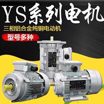 YS aluminium shell electric motor 0 0 37 55 0 75 75 1 1 1 5 2 2 3 4 5 5KW three-phase motors 380V