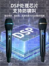 Shanshui metal anti-whistling U-segment wireless microphone one drag two handheld dual microphones singing live KTV dedicated