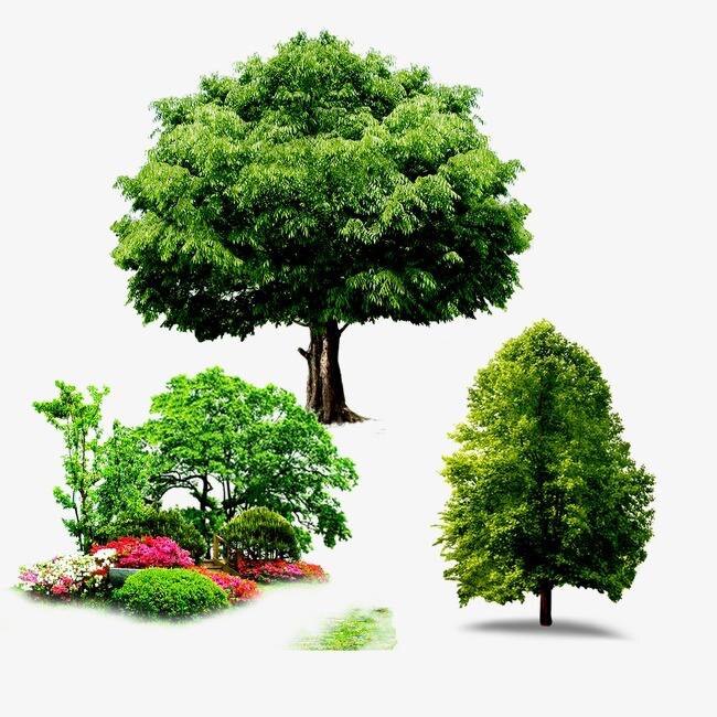 植通园林资材批发经营部