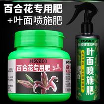 Lily special fertilizer fertilizer potted green leaf nutrient solution foliar spray fertilizer perfume lily to promote flowering bud bud bud bud Bud Bud bud bud bud bud bud