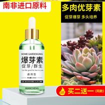 Succulent special excellent bud hormone Plant burst side bud Cell division hormone Bud-promoting growth hormone Burst bud hormone Burst bud hormone