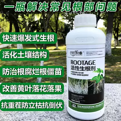 Rice seedling rooting and seedling fruit tree transplanting rooting powder seedling rose sweet potato ginger rooting agent
