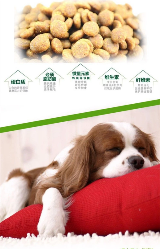 Cơm, dạ dày, hỗ trợ thảo dược, chó con, thức ăn, 1,5kg, Teddy, Golden Retriever, Satsuma, Bear, Dog giống, thức ăn cho chó - Chó Staples pate cho chó