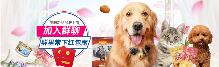 Mai Fudi chó mol gậy 3 120g New Zealand xương cà rốt da xương cắn cắn chó vàng - Đồ ăn vặt cho chó