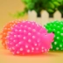 Cắn giọng con nhím thú cưng cung cấp đồ chơi la hét con nhím bốn đồ chơi cao su âm thanh Teddy dog ​​mèo đồ chơi - Mèo / Chó Đồ chơi