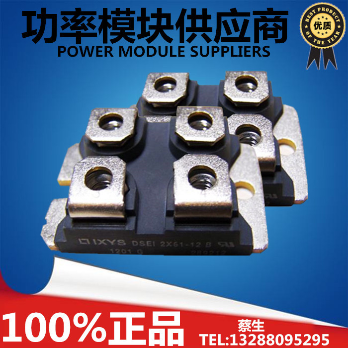 New original DSEI2X101-12A DSEI2X61-12B DSEI2X101-06A Spot